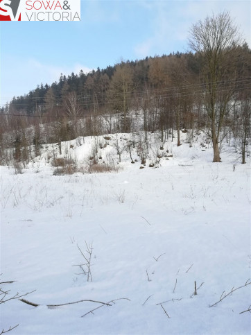 Działka Sprzedaż Boguszów-Gorce 1