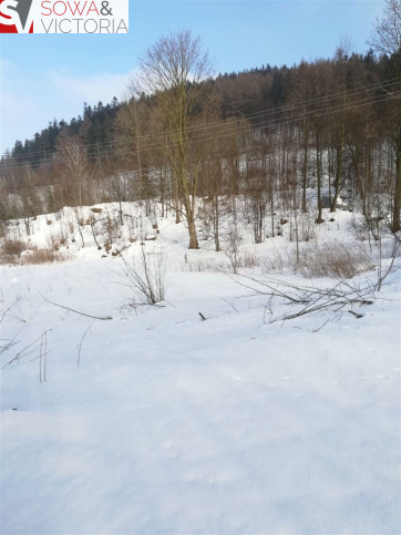 Działka Sprzedaż Boguszów-Gorce 4