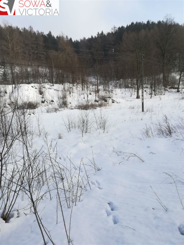 Działka Sprzedaż Boguszów-Gorce 8