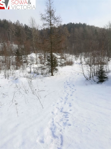 Działka Sprzedaż Boguszów-Gorce 11