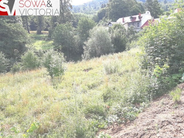 Działka Sprzedaż Wałbrzych Podgórze 3