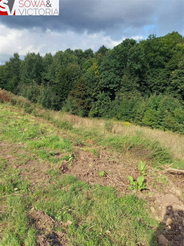 Działka Sprzedaż Wałbrzych Podgórze 5
