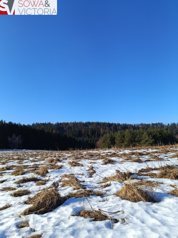 Działka Sprzedaż Bartnica 4