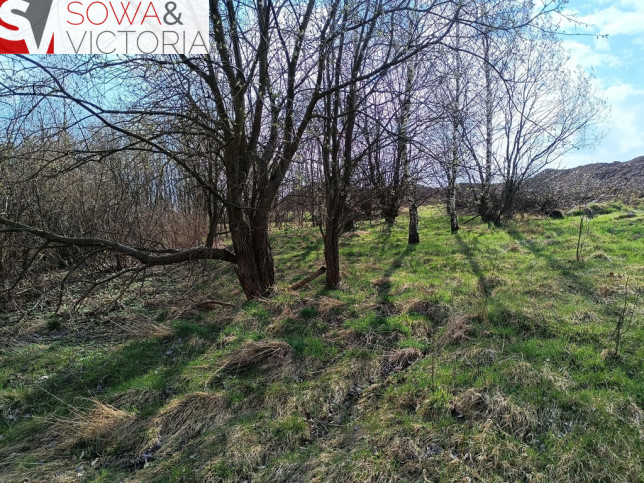 Działka Sprzedaż Gostków 2