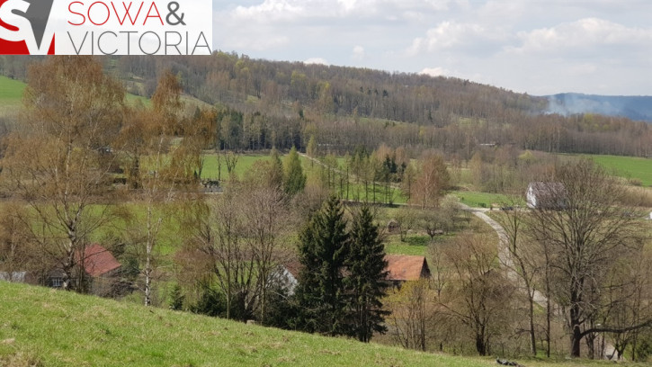 Działka Sprzedaż Jugowice 3